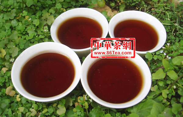 陈年7572普洱熟饼