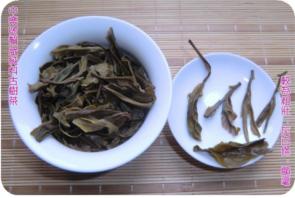 帮崴纯料古树茶